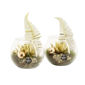 61893: X-mas arrangement