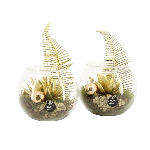 <h4>61893: X-mas arrangement</h4>