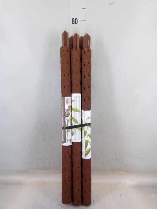 <h4>Decoratie  ..Klimstok composteer H%</h4>