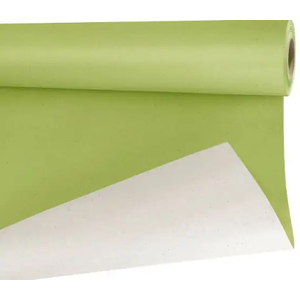 ROULEAU DE PAPIER BETTERAVE 40M - PAPIER ÉCOLOGIQUE FLEURISTE 0.79X40 M VERT 80 57I0007 40m