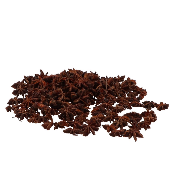 <h4>Nature Star Anise 500gram</h4>