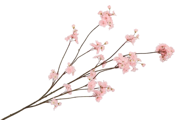 Silk Cherry Blossom Light Pink 126cm