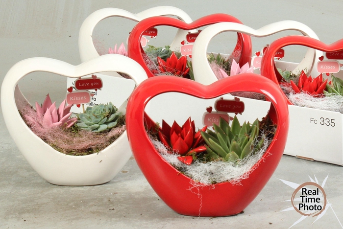 <h4>ARR KAMERPL</h4>