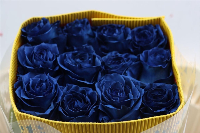 <h4>R Gr Tinted Galactic Blue</h4>