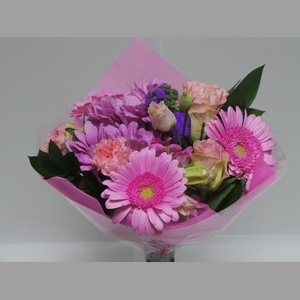 BQ Shorties Pink
