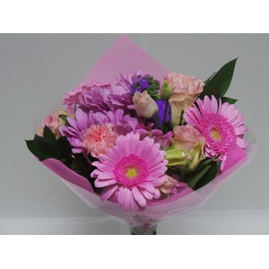 Bouquet Shorties Pink