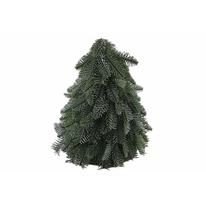 Nobilis Tree Green XM660076GRN