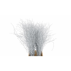 Berk 70cm Gl Zilver Pbs