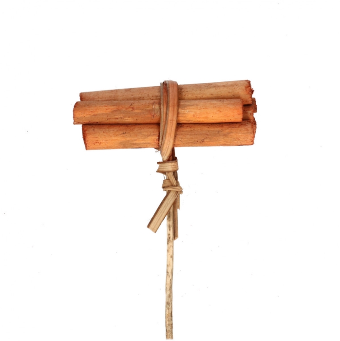 <h4>Allerheiligen 50cm Kaneel artificial 8*3cm</h4>