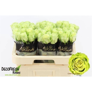R GR GREEN GENERATIO