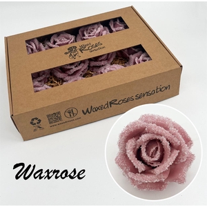 Zijde R Wx Icy Old Pink