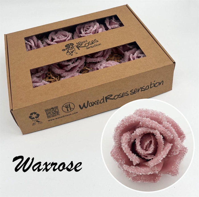 <h4>Zijde R Wx Icy Old Pink</h4>