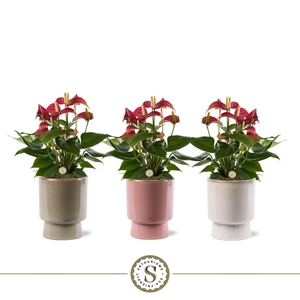 Toulouse Keramiek Livium Micra