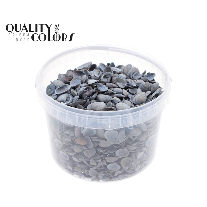 <h4>Shells north sea 3 ltr Frosted Blue</h4>