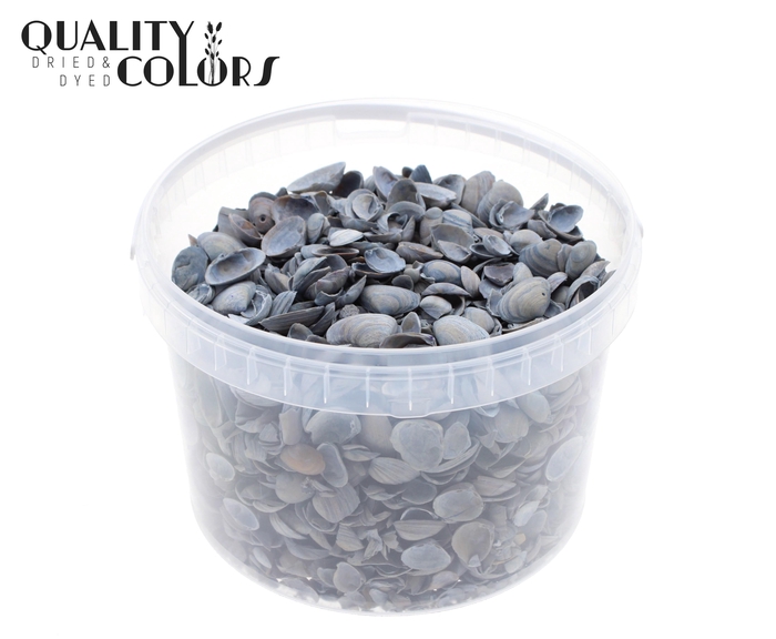 Shells north sea 3 ltr Frosted Blue