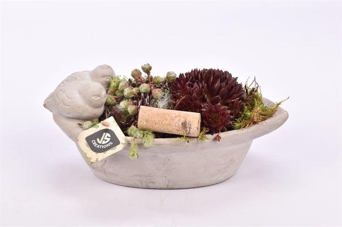 <h4>Cement ovaal vogelschaal gy 27x14cm</h4>