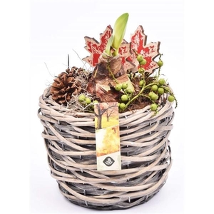 Wilg mand grijs 18cm