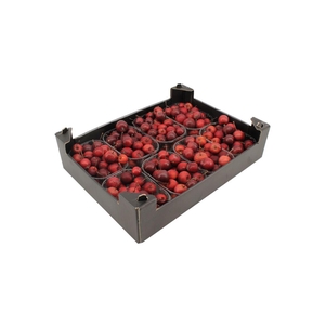 Appels Malus Rood 8x