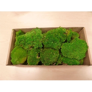 Polemoss Green 250 Gr