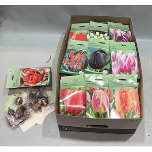 BLOEMBOL TULIPA