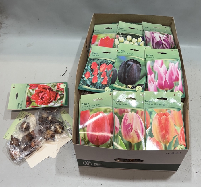 <h4>BLOEMBOL TULIPA</h4>