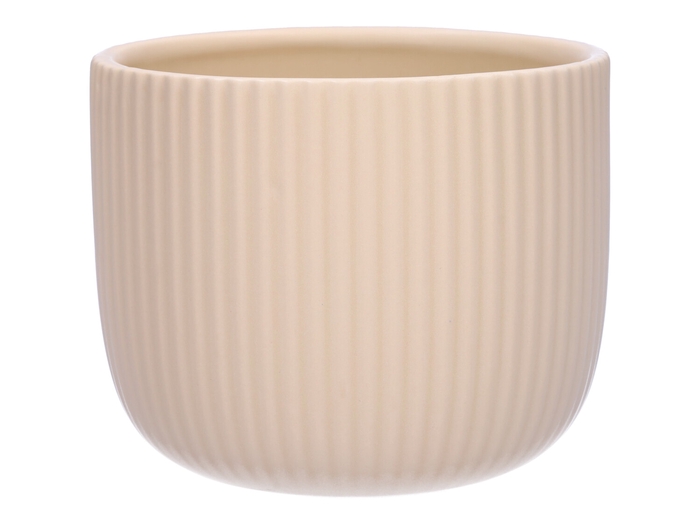 <h4>DF03-710288347 - Pot Haley d14xh11.5 cream matt</h4>
