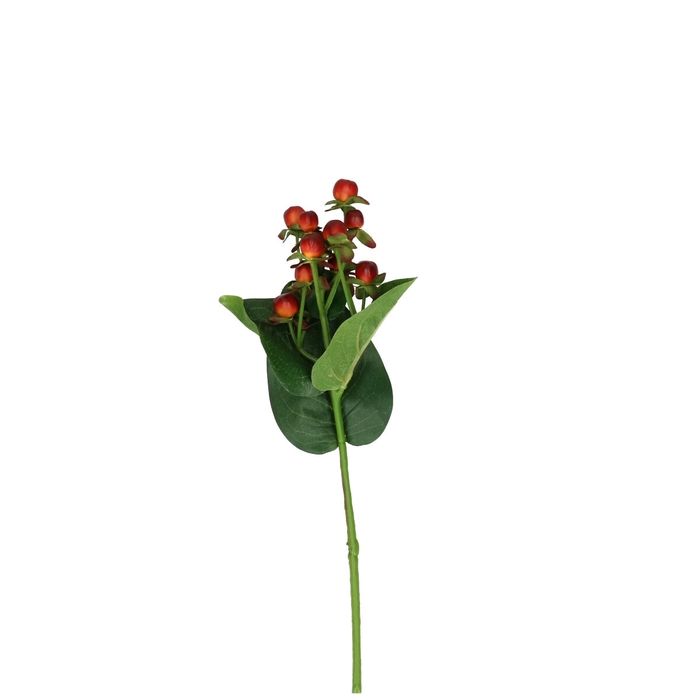 <h4>Opruiming Hyperium 47cm</h4>