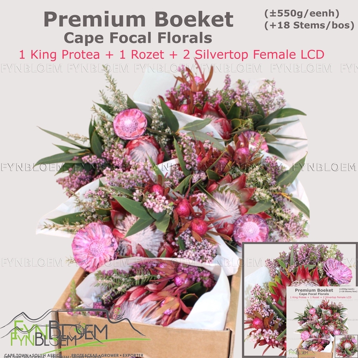 <h4>PROTEA PER BOS</h4>