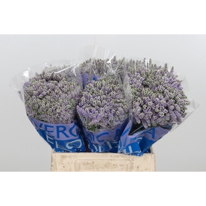 Veron Smart Splash Spray