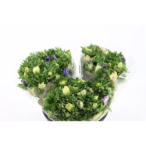 Anem Marianne Pastel