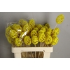 E. EGG BAROQUE YELLOW 7 CM OP STOK