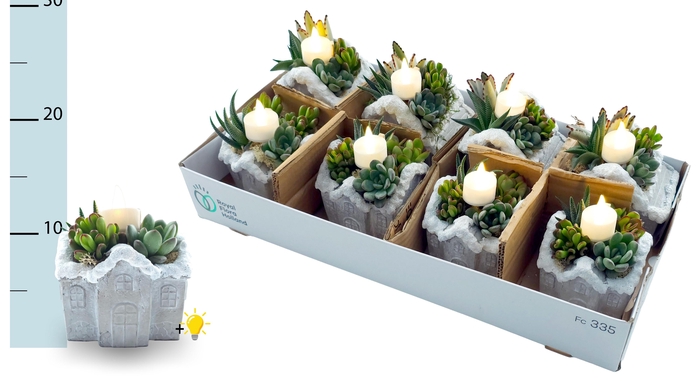 <h4>ARR KERST</h4>