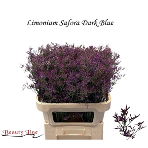 LIM SAF DARK BLUE