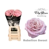 R GR VIP NEW REBELLION SWEET