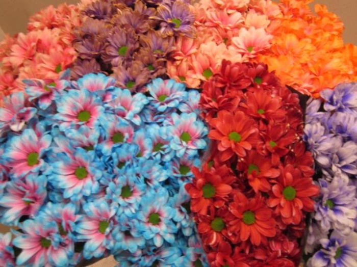 <h4>Chr T Bacardi Mix 2 Kleurig</h4>