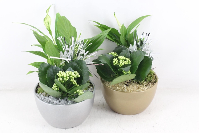 <h4>arr2 PL - Ker. bolschaal x3 - goud/zilver</h4>