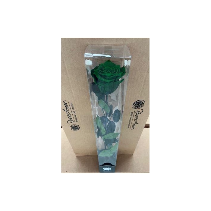 <h4>50cm Stem Gre02</h4>