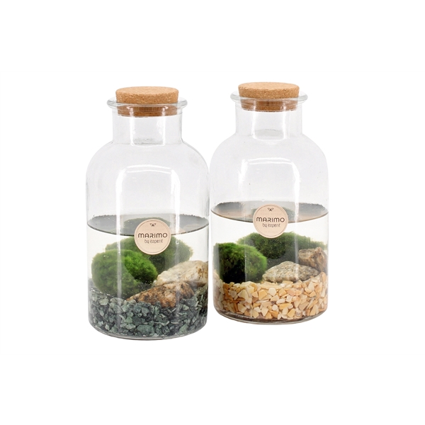 <h4>90527: Marimo arrangement</h4>