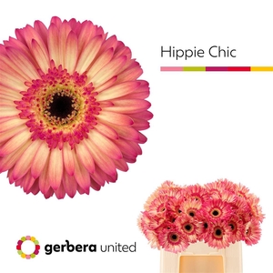 Ge Gr Hippie Chic