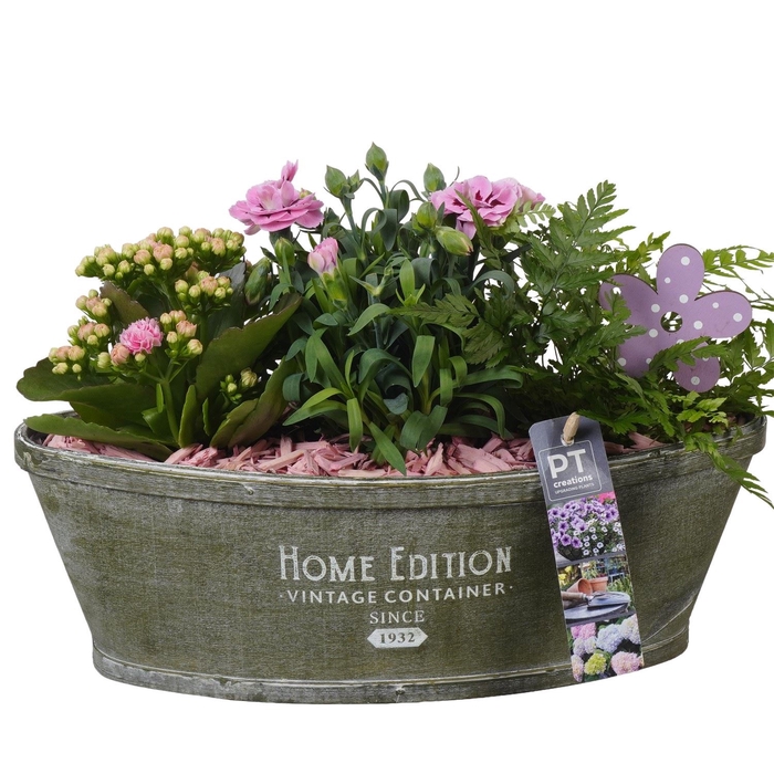 <h4>Arr.   Perkplanten L%</h4>