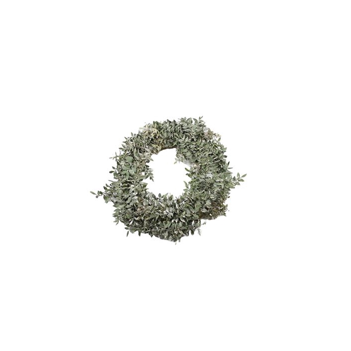 <h4>Wreath Ruscus D38</h4>