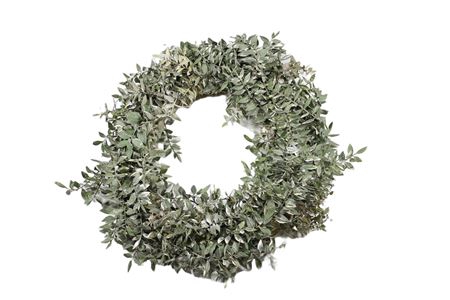 <h4>Wreath Ruscus D38</h4>