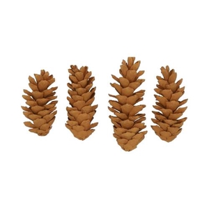 Pinecone Strobus Cinnamon 4 Pcs Slv L19W12H14