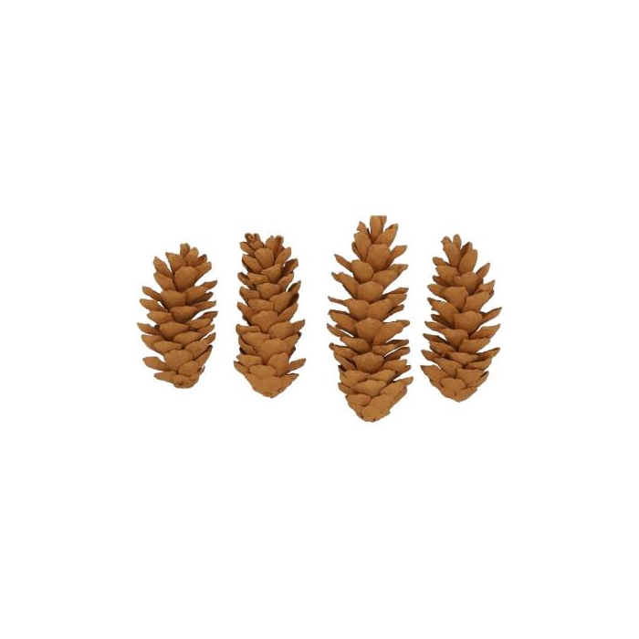 <h4>Pinecone Strobus Cinnamon 4 Pcs Slv L19W12H14</h4>