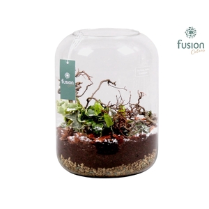 Green Bottle Isabella XLarge met Hyacinten Arrangement