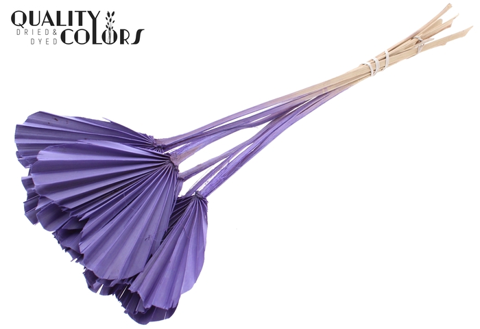 Palm Spear Heart per stem Frosted Milka