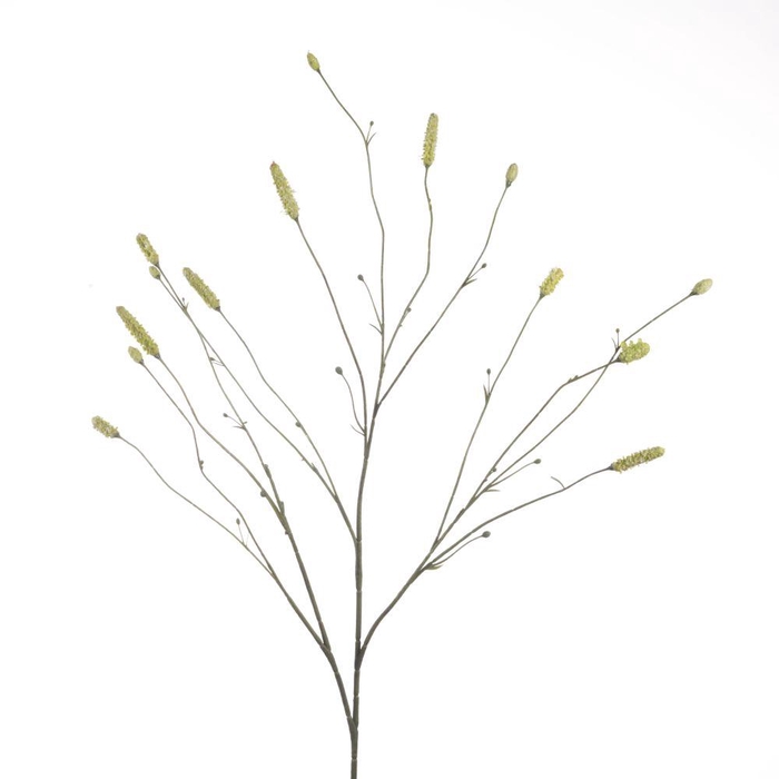 <h4>AF Sanguisorba L109cm Green</h4>
