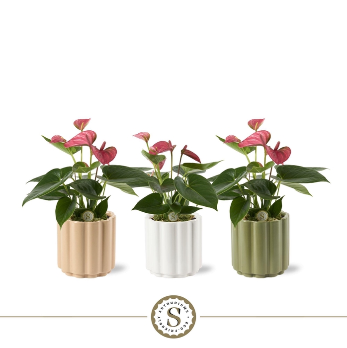 <h4>Monza Keramiek 9cm Pink</h4>