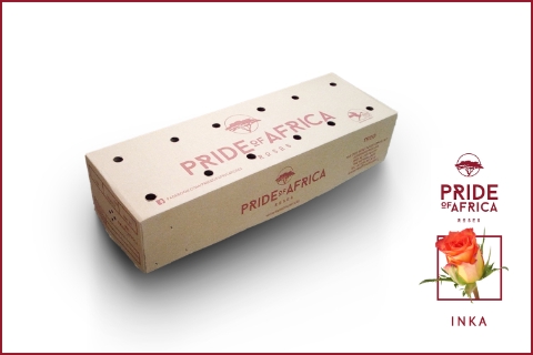 R GR INKA Boxes (V)