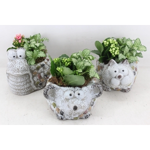 Arr2 Td - Dierenmix - Roze/wit